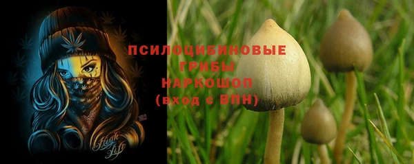 прущие крисы Кукмор